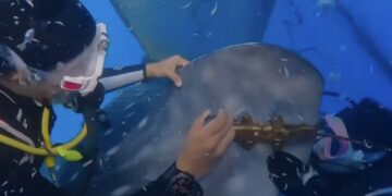 FOTO: Screenshot reels instagram Prillylatuconsina