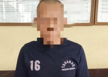 Pelaku rudapaksa