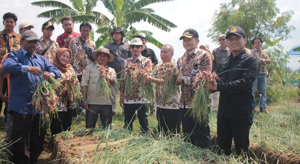 Pemkab Cirebon Rencanakan Pembentukan BUMD Pangan untuk Optimalkan Hasil Panen Bawang Merah Pemerintah Kabupaten (Pemkab) Cirebon berencana untuk membentuk Badan Usaha Milik Daerah (BUMD) yang fokus pada sektor pangan.
