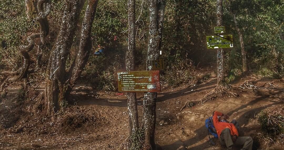 Pendaki gunung beristirahat.(Foto: Satujabar.com)