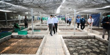 Tempat Pengolahan Sampah Terpadu (TPST) direncanakan berdiri di lahan seluas 1,7 hektar di Kecamatan Gedebage dan akan mampu mengolah 390 ton sampah per hari menggunakan teknologi Refuse Derived Fuel (RDF).