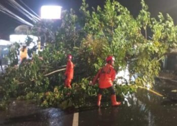 Pohon tumbang di Jalur Nasional, Jalan Ahmad Yani, Kabupaten Ciamis.(Foto:Istimewa).