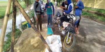 Buruh panen padi menghitung gabah hasil panen di Blok Ki Buyut Depong, Desa Terusan, Kecamatan Sidang, Kabupaten Indramayu. (Foto: Satujabar.com)