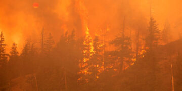 Ilustrasi kebakaran hutan. (Foto: istimewa)