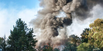 Ilustrasi kebakaran hutan. (Foto: istimewa)
