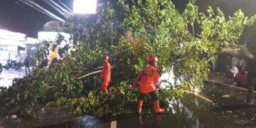 Proses evakuasi pohon tumbang di Jalan Nasional, Kabupaten Ciamis.(Foto:Istimewa).