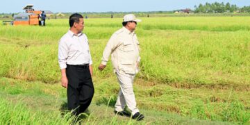 Presiden Prabowo Subianto didampingin Menteri Pertanian Andi Amran Sulaiman berkunjung ke Desa Telaga Sari, Distrik Kurik, Kabupaten Merauke, Provinsi Papua Selatan, Minggu (03/11/2024).
(FOTO: Setkab)