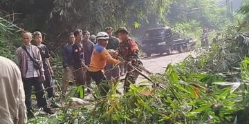 Petugas gabungan BPBD, PMI, Tagana, TNI, dan Polri dikerahkan untuk mengevakuasi material longsor yang menutupi jalur Cadas Pangeran atas, Jumat (29/11/2024) pagi.