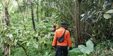 Tim SAR lakukan pencarian
