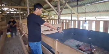 Penggerebekan judi sabung ayam.(FOTO: Istimewa)