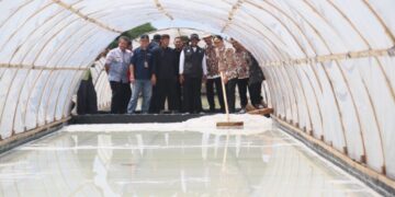 Tambak garam.(FOTO: Humas Pemkab Cirebon)