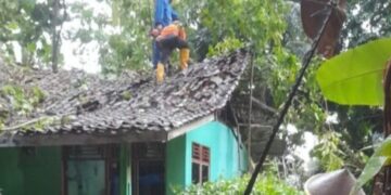 Pohon tumbang menimpa rumah warga di Kabupaten Ciamis, akibat hujan deras disertai angin kencang.(Foto:Istimewa).