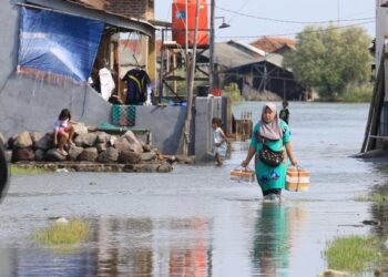 Warga berjalan menerobos banjir rob yang merendam pemukiman. (Dok. Istimewa)