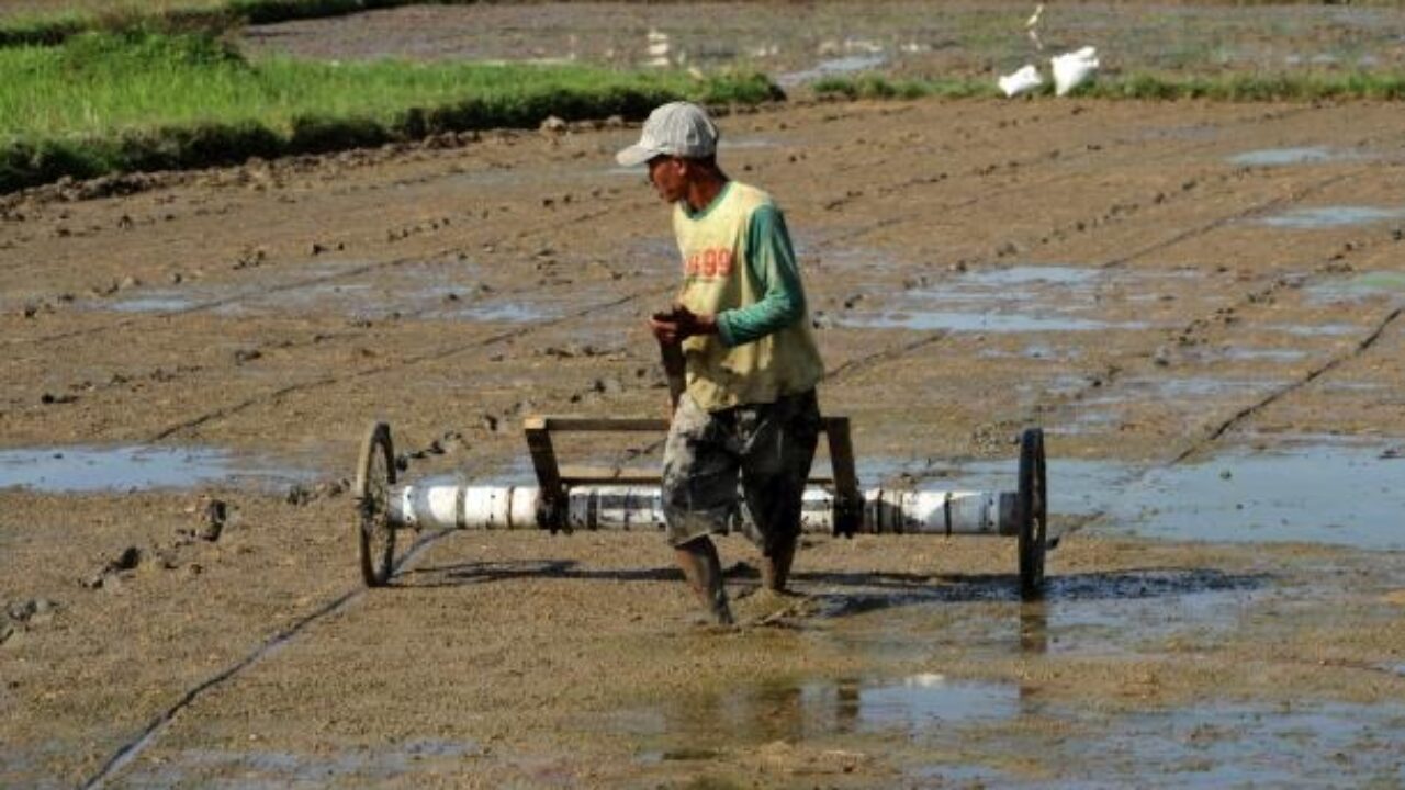 Dedi Mulyadi Bakal Perketat Alih Fungsi Lahan Pertanian Dukung Ketahanan Pangan - SATUJABAR