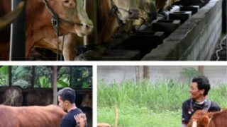 (FOTO: Humas Pemkab Sumedang)