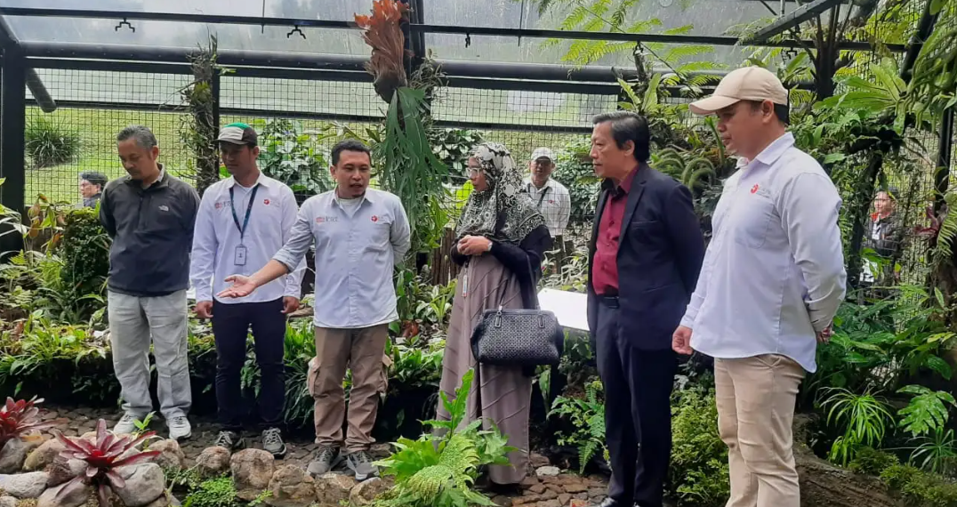 Kebun Raya Cibodas kembali membuka rumah kaca Nepenthes sebagai wahana edukasi bagi masyarakat umum pada Kamis (19/12). (FOTO: Humas BRIN)