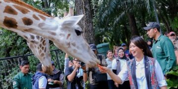Wakil Menteri Pariwisata (Wamenpar) Ni Luh Puspa bersama jajaran Kementerian Pariwisata (Kemenpar) meninjau Taman Margasatwa Ragunan Jakarta untuk memastikan kesiapan destinasi tersebut menghadapi lonjakan pengunjung.