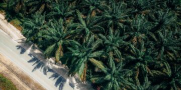 Harga CPO atau minyak kelapa sawit,Indeks Harga Perdagangan Besar. Ekspor limbah,harga referensi cpo