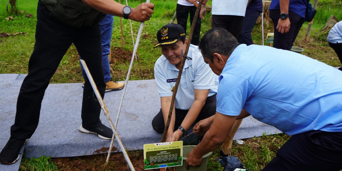 Pemerintah Kabupaten Bogor bersama Kementerian Lingkungan Hidup dan Kehutanan (KLHK) melaksanakan kegiatan penanaman pohon di kawasan Agrowisata Gunung Mas, Kecamatan Cisarua, Kabupaten Bogor, pada Kamis (16/1/2025).