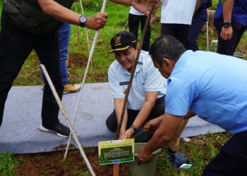 Pemerintah Kabupaten Bogor bersama Kementerian Lingkungan Hidup dan Kehutanan (KLHK) melaksanakan kegiatan penanaman pohon di kawasan Agrowisata Gunung Mas, Kecamatan Cisarua, Kabupaten Bogor, pada Kamis (16/1/2025).