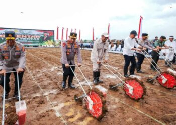 Launching menggalakkan tanam jagung wujudkan swasembada pangan.(Foto:Istimewa)