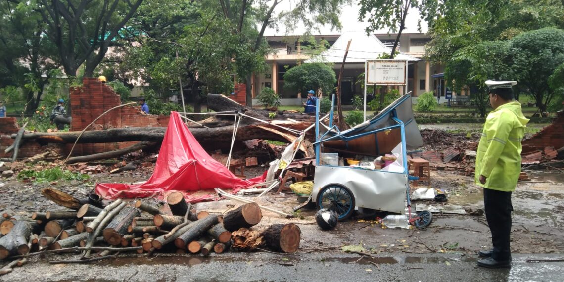 Kejadian bencana angin kencang akibatkan pohon tumbang di Cirebon