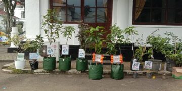 Bibit pohon di Gedung Negara Sumedang.(Foto: Humas Pemkab Sumedang)