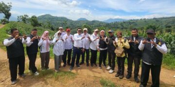 Garut hadapi panen raya jagung