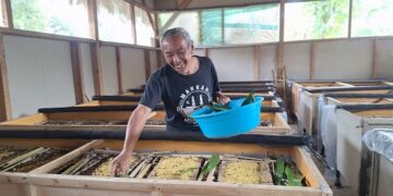 Haji Juju Junaedi (52) warga RT 1 RW 4, Kelurahan Talun, Kecamatan Sumedang Utara sukses mengembangkan usaha ternak jangkrik.