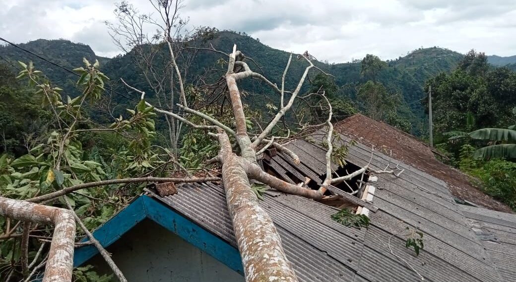 Rumah tertimpa pohon