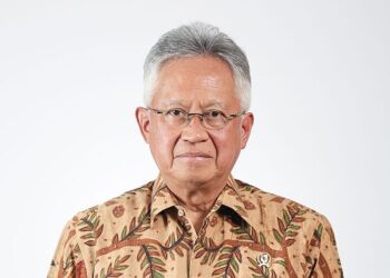 Satryo Soemantri Brodjonegoro