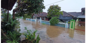 Banjir di Lampung. (Foto: BNPB)