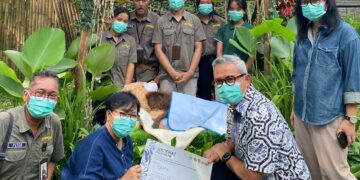 Wali Kota Bandung Muhammad Farhan mengunjungi Bandung Zoo.