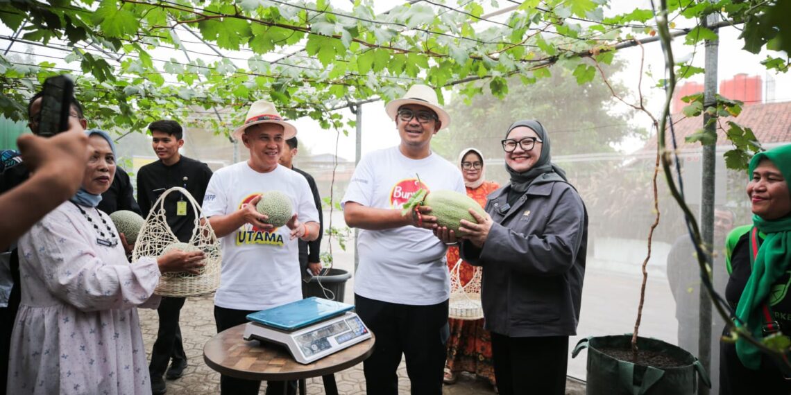 Wali Kota Bandung, Muhammad Farhan, berencana mengembangkan Kampung Wisata Melon, sebuah destinasi wisata premium yang akan menawarkan pengalaman unik bagi pecinta buah-buahan segar.