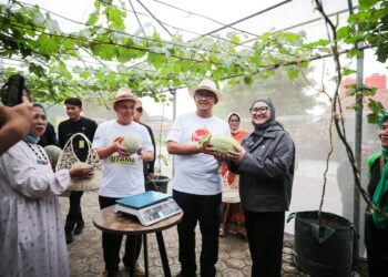 Wali Kota Bandung, Muhammad Farhan, berencana mengembangkan Kampung Wisata Melon, sebuah destinasi wisata premium yang akan menawarkan pengalaman unik bagi pecinta buah-buahan segar.