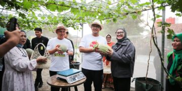 Wali Kota Bandung, Muhammad Farhan, berencana mengembangkan Kampung Wisata Melon, sebuah destinasi wisata premium yang akan menawarkan pengalaman unik bagi pecinta buah-buahan segar.