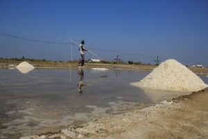 Petani memanen garam di Losarang Indramayu. Daerah ini diproyeksikan akan menjadi kawasan industri dengan luas 1.000 hektare. (Dok. Istimewa)
