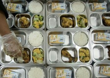 Salah satu menu program Makan Bergizi Gratis (MBG).(Foto:Istimewa).