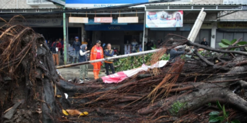 Pohon tumbang di Ciganitri Bojongsoang