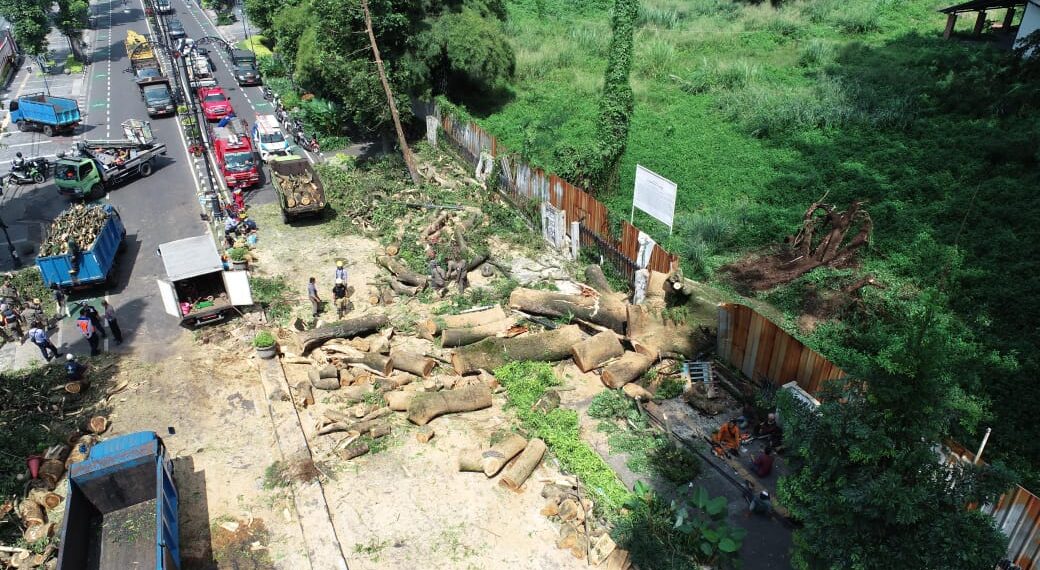 Pohon tumbang di Jalan Dago.(Foto: Humas Pemkot Bandung)