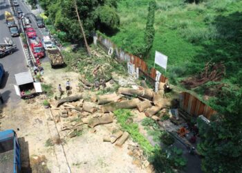Pohon tumbang di Jalan Dago.(Foto: Humas Pemkot Bandung)