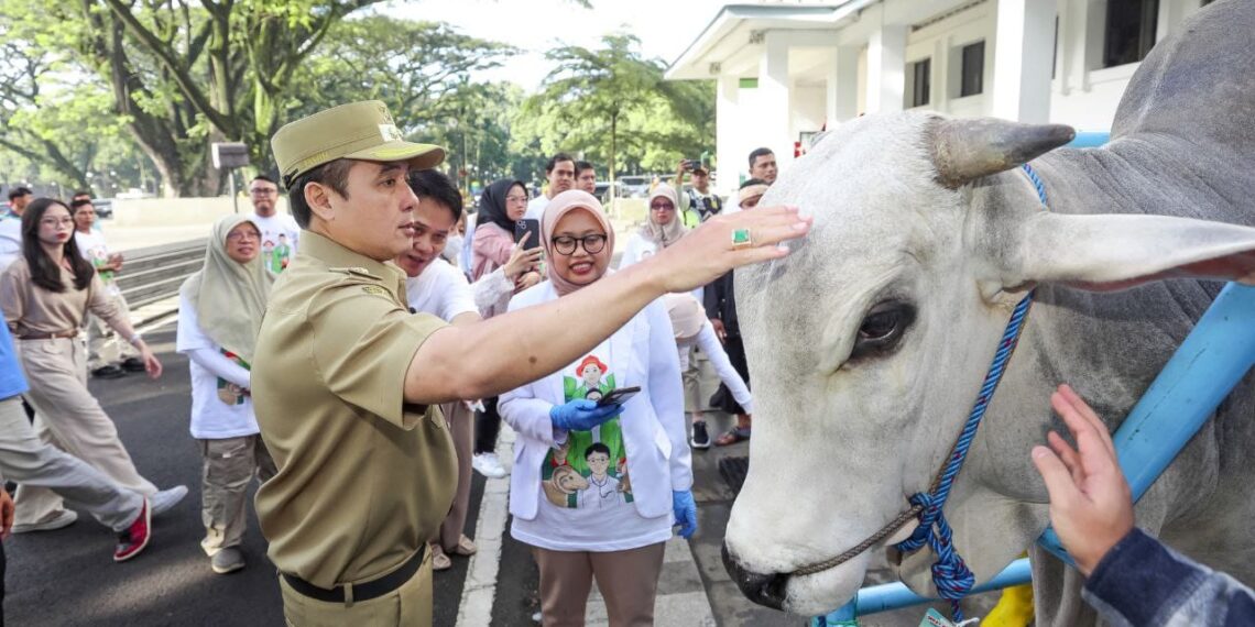 Wakil Wali Kota Bandung, Erwin.(Foto: Humas Pemkot Bandung)