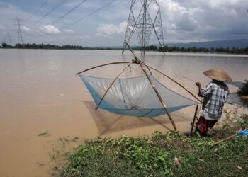 Seorang warga menjaring ikan di lahan persawahan yang teredam banjir