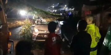 Pohon tumbang di jalur utama Tasikmalaya-Bandung, merenggut nyawa pengemudi anggota Brimob Polda Jawa Barat.(Foto:Istimewa).
