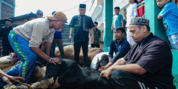 Wakil Wali Kota Bandung, Erwin, saat meninjau langsung pelaksanaan penyembelihan hewan kurban di Kecamatan Coblong, Jumat (6/6/2025).