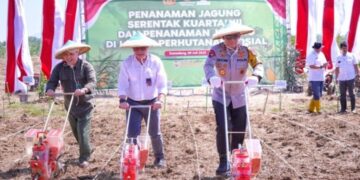 Kapolda Jabar, Irjen Pol. Rudi Setiawan, memimpin penanaman jagung program ketahanan pangan di Kabupaten Sumedang.(Foto:Dok Polda Jabar)