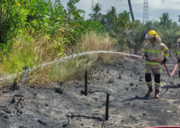 Foto : Tim Gabungan melakukan pemadaman di lokasi lahan yang terbakar pada wilayah Kabupaten Belitung Timur, Provinsi Kepulauan Bangka Belitung, Sabtu (26/7). (BPBD Kabupaten Bangka Belitung.