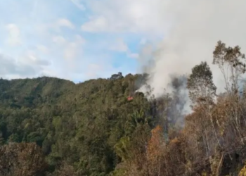 Foto : Kebakaran hutan dan lahan (karhutla) yang terjadi di Kabupaten Nunukan, Kalimantan Utara, Kamis (24/7). (BPBD Kabupaten Nunukan)
