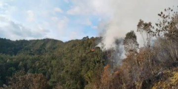 Foto : Kebakaran hutan dan lahan (karhutla) yang terjadi di Kabupaten Nunukan, Kalimantan Utara, Kamis (24/7). (BPBD Kabupaten Nunukan)
