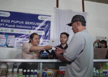 Toko pupuk